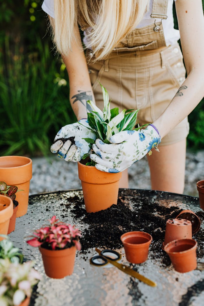 A woman plants greenery in pots on a sunny day, showcasing home gardening.